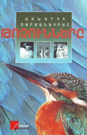 Աշխարհի զարմանահրաշ թռչունները