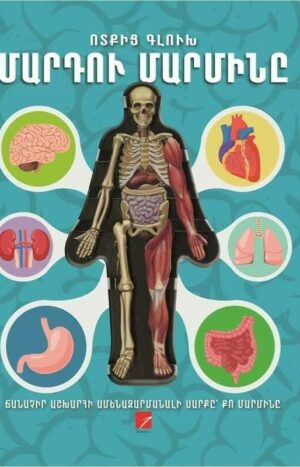 Մարդու մարմինը ոտքից գլուխ