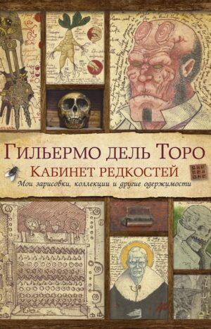 Кабинет редкостей. Мои зарисовки, коллекции и другие одержимости