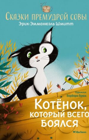 Котёнок, который всего боялся