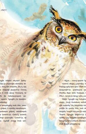 Հարրի Փոթերը և Փիլիսոփայական քարը. նկարազարդ